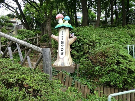 ӊ  k9B 660m