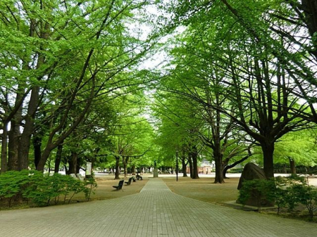 ӊ 敽a k5B 400m