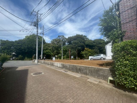 nynʐ^ O