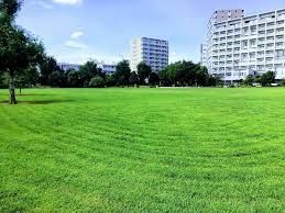 ӊ 旧䌴ό k11B 860m