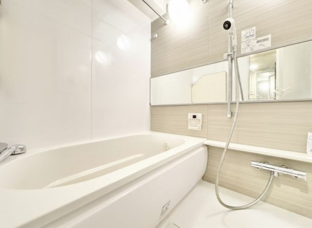  ꂽԂL郏Ch~[̗poX[BANZgplŗ̂镵͋Co̔₷oX^CBCg[@tŗ\I