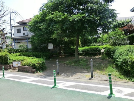 ���ӊ� �����̂��Ђ�Ό��� �k��9���B 700m