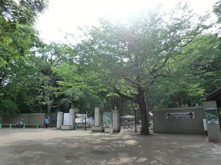 ӊ ̓ k15B 1130m