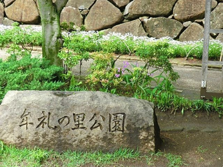 ӊ ̗ k26B 2010m