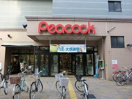 ���ӊ� �s�[�R�b�N�X�g�A�ΐ��X �k��13���B 1030m