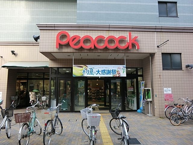 ���ӊ� �s�[�R�b�N�X�g�A�ΐ��X �k��13���B 1030m