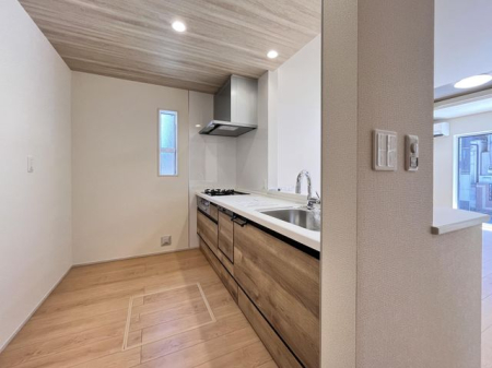 ���̑� ���̑�