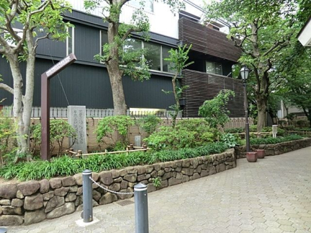 ���ӊ� ���q�V�S�L�O���� �k��8���B 590m