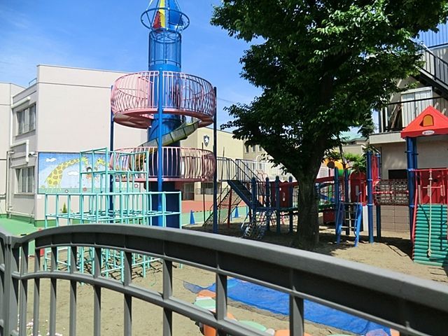 ���ӊ� �}�_���i�E�J�m�b�T�c�t�� �k��3���B 240m