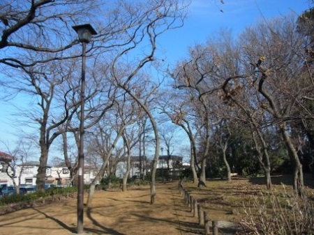 ���ӊ� �ǂ񂮂�R�̐X�Βn �k��7���B 560m