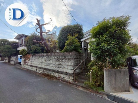 ���n�y�n�ʐ^ -