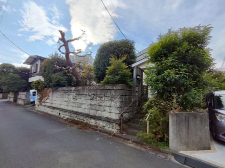 ���n�y�n�ʐ^ -