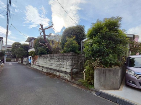 ���n�y�n�ʐ^ -