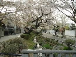  �k���Γ� �k��8���B 600m