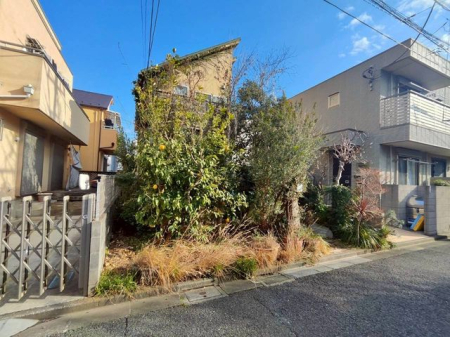 ���̑� ���L����