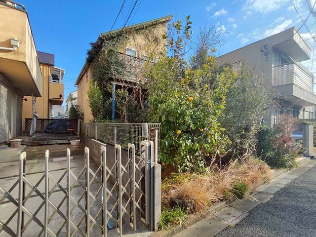 ���̑� ���L����