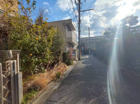 ���̑� ���L����