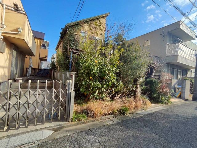 ���̑� ���L����