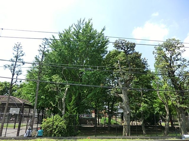 ���ӊ� �������� �k��11���B 850m