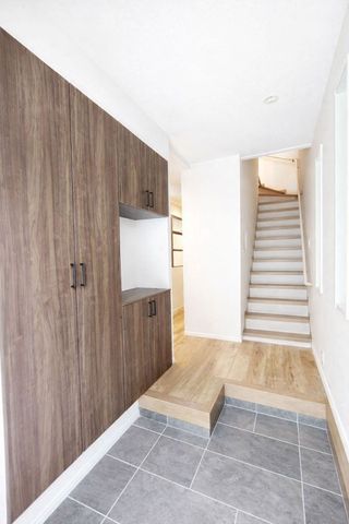 ���̑����� ���L����