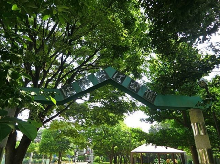 ���ӊ� ���n�͂���ό��� �k��3���B 230m