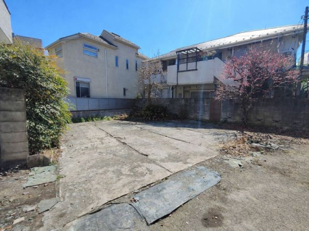 ���̑� ���L����