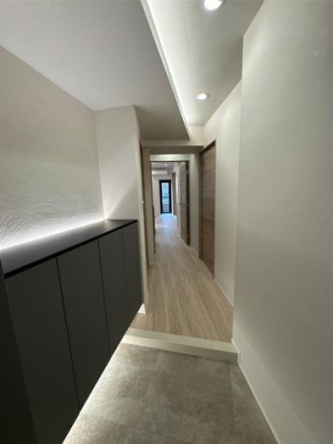 ���� ����