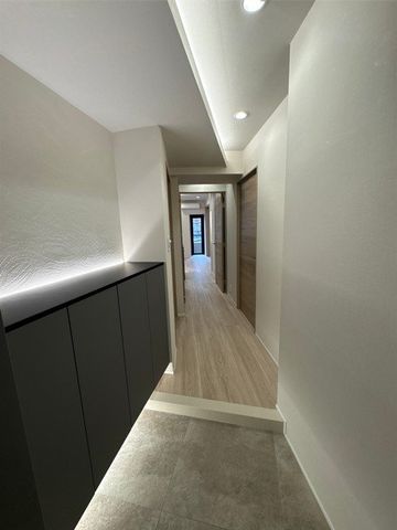 ���� ����