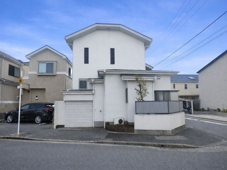 ���n�y�n�ʐ^ -