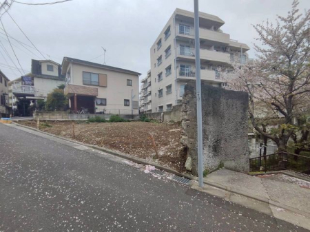 ���n�y�n�ʐ^ -