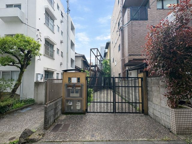 ���̑� ���L����