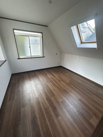 ���̑����� -