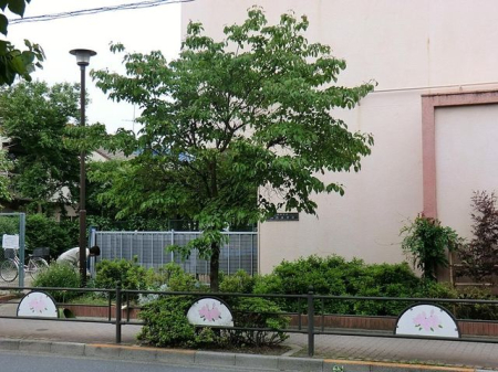 ���ӊ� �����ۈ牀 �k��7���B 550m