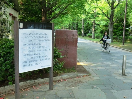 ���ӊ� �Ẳ_���� �k��9���B 650m