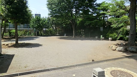 ���ӊ� �V�_������ �k��3���B 230m