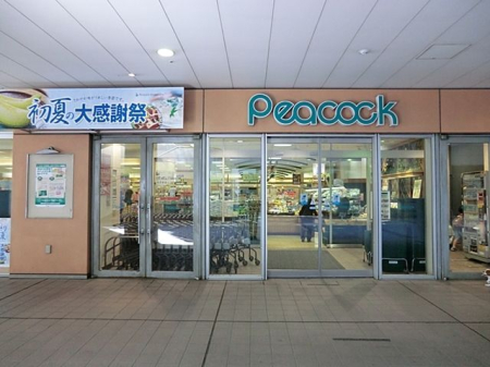���ӊ� ��ۃs�[�R�b�N�����O���[���R�[�g�X �k��13���B 990m