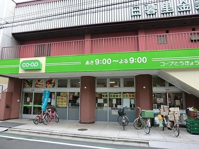 ���ӊ� �~�j�R�[�v���闢�X �k��2���B 160m