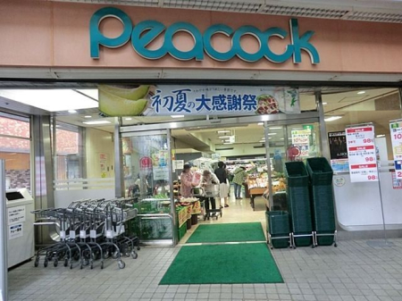 ���ӊ� ��ۃs�[�R�b�N�����J�X �k��8���B 610m