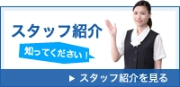 スタッフ紹介