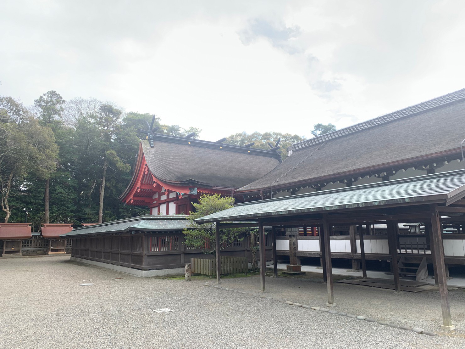 福岡　グルメ　旅行　寺　太宰府　南蔵院　世界遺産　楽天トラベル　高円寺