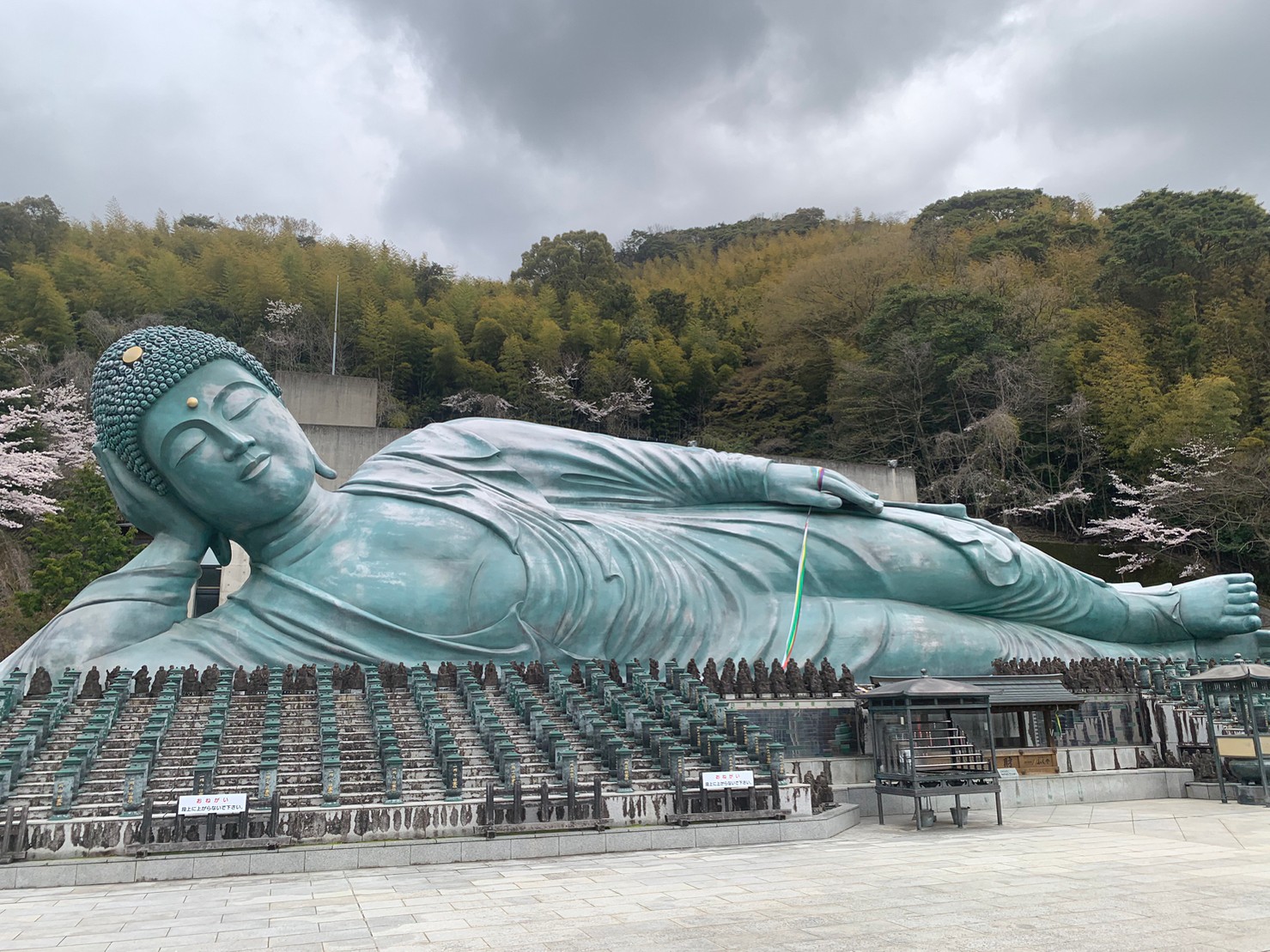 福岡　グルメ　旅行　寺　太宰府　南蔵院　世界遺産　楽天トラベル　高円寺