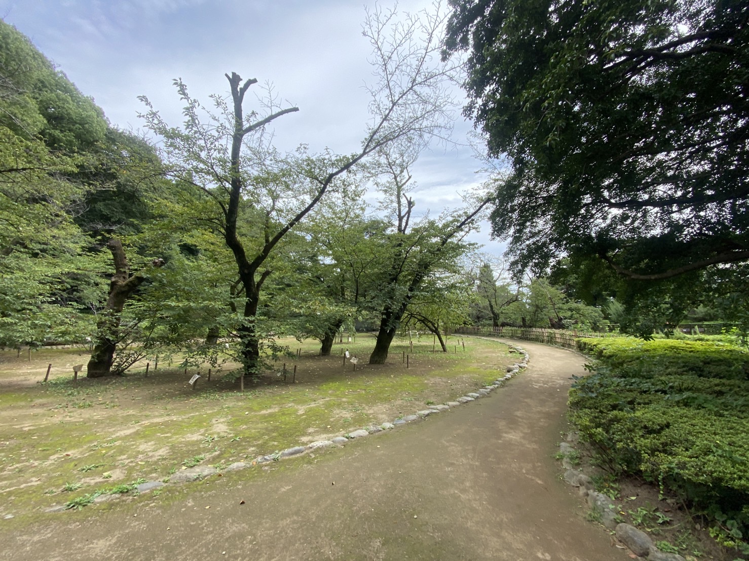 中野区　新宿区　公園