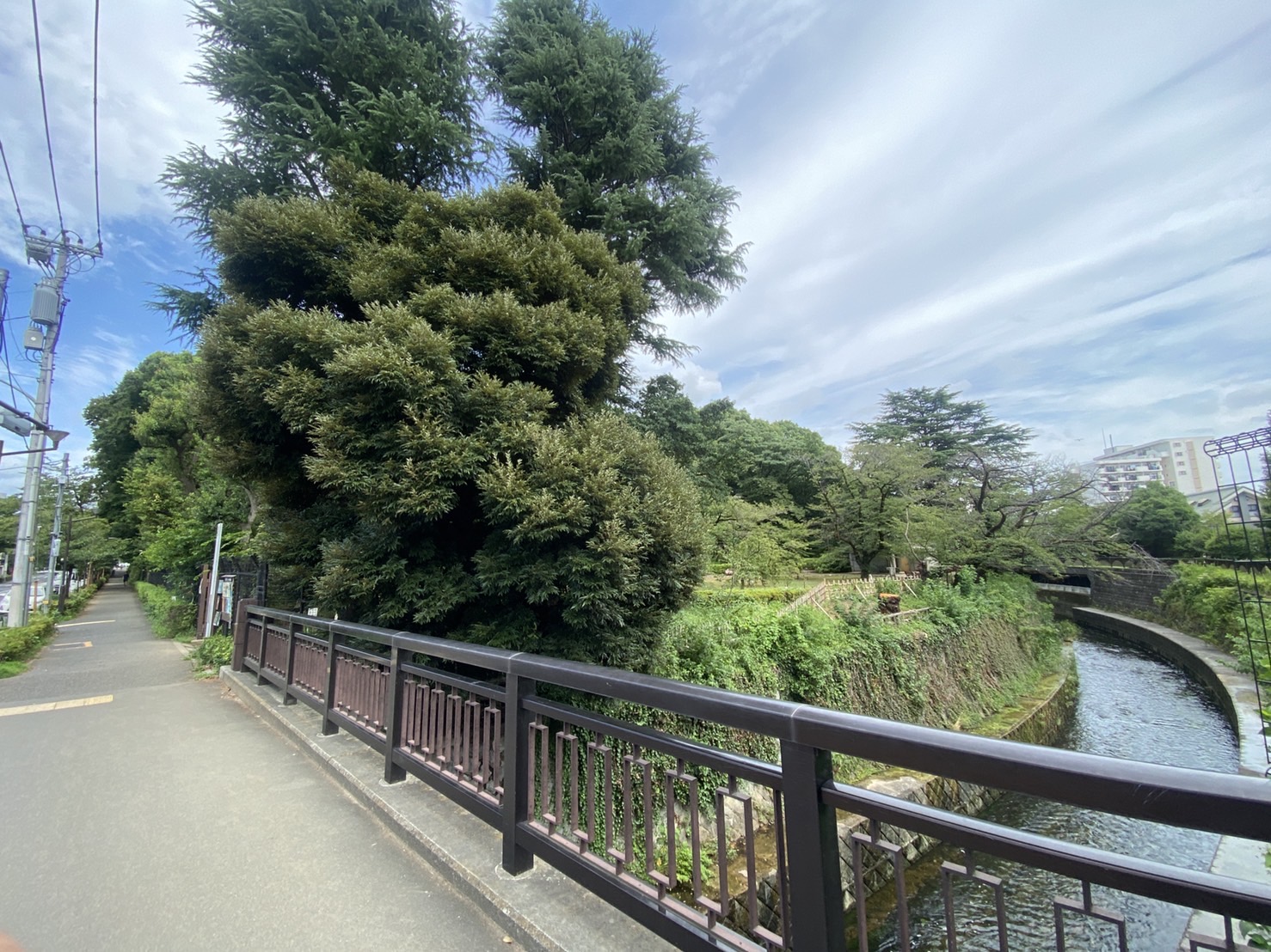 中野区　新宿区　公園