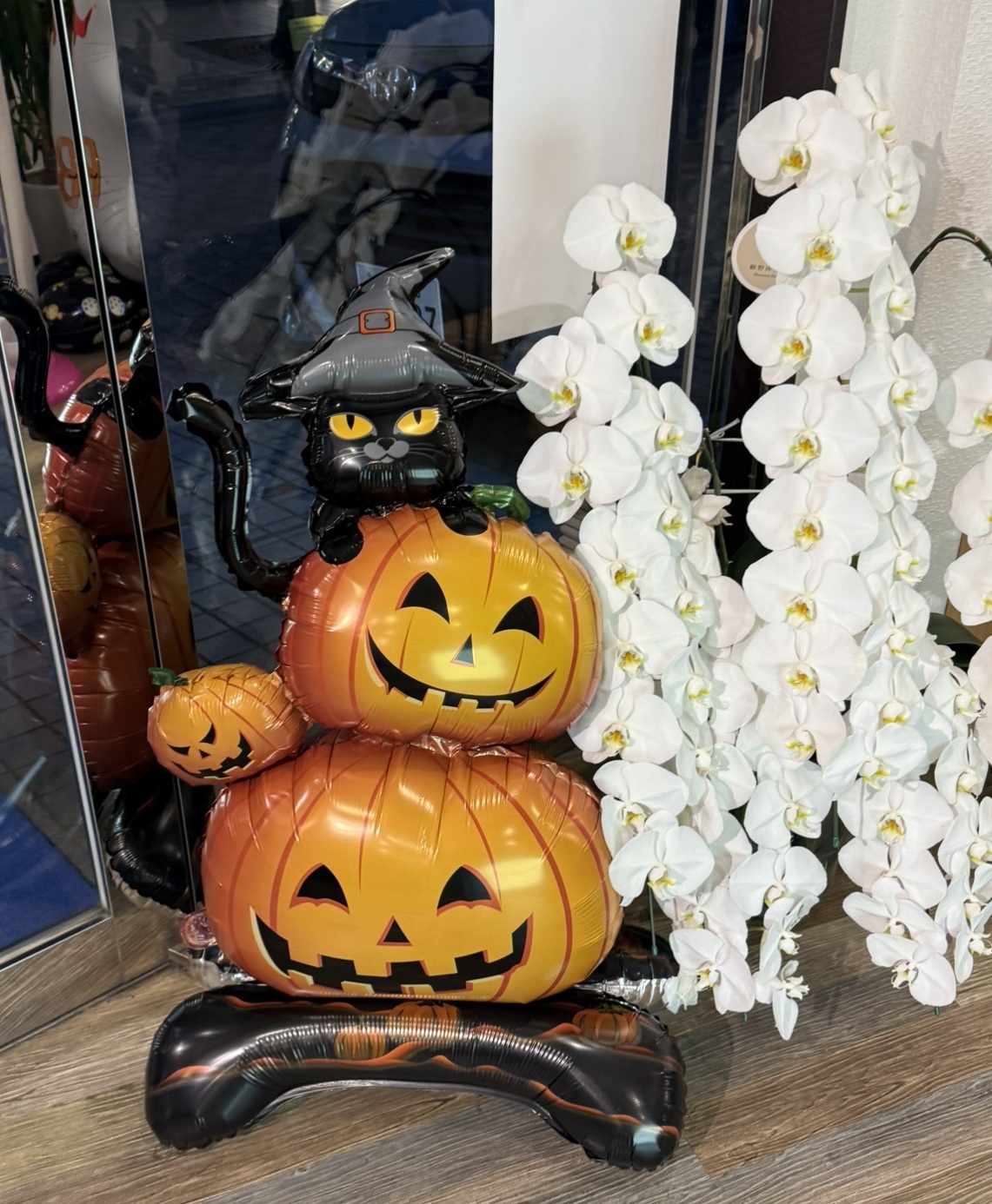 大和アクタス 杉並区 高円寺 不動産 ハロウィン