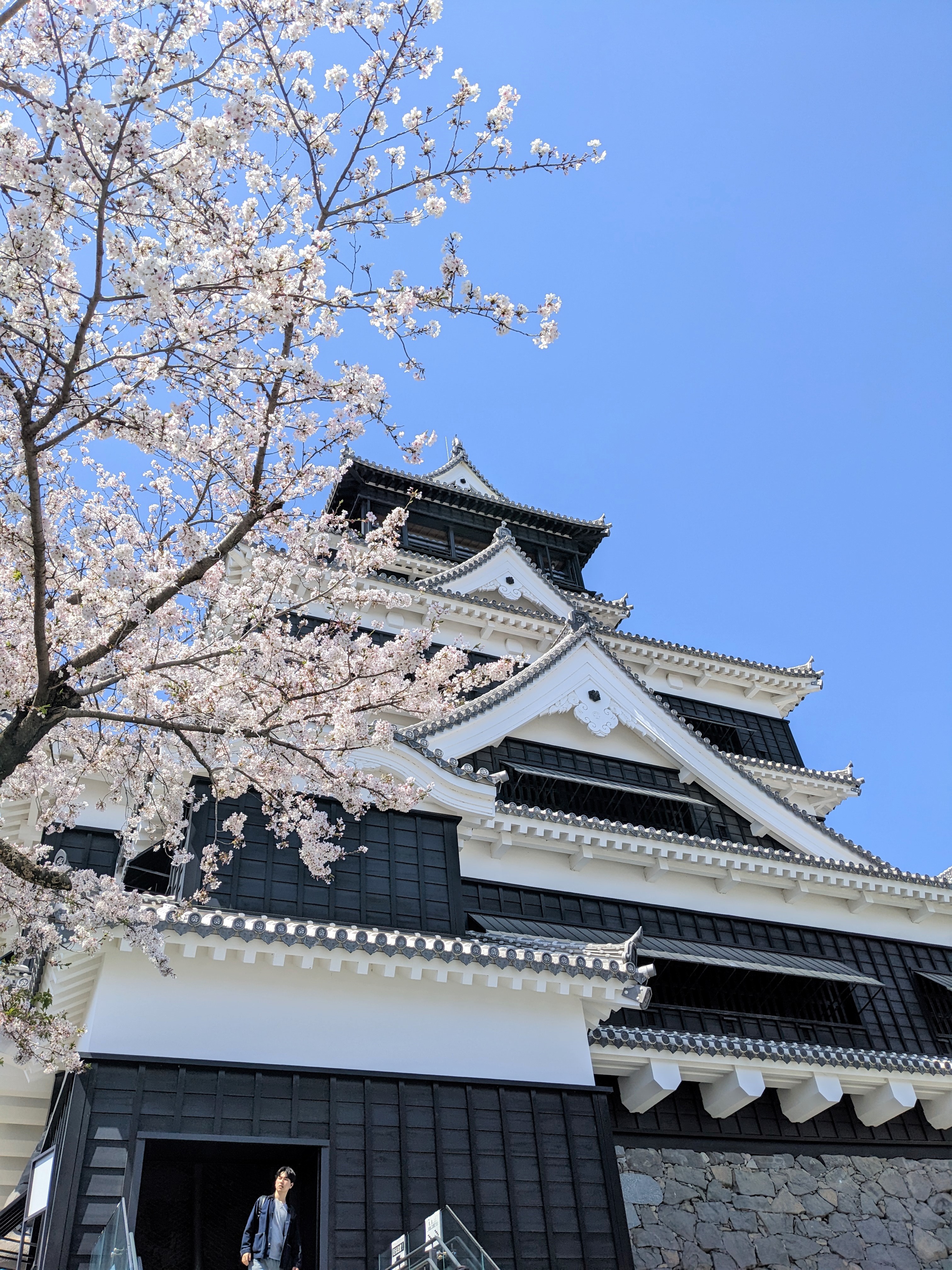 福岡　グルメ　旅行　寺　太宰府　南蔵院　世界遺産　楽天トラベル　高円寺