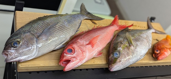 大和アクタス 不動産 釣り部 大量 海釣り 高円寺 杉並