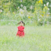 aomidori0I9A8972_TP_V