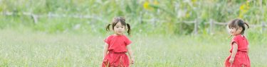 aomidori0I9A8972_TP_V