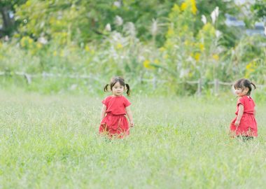aomidori0I9A8972_TP_V