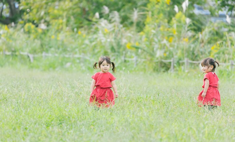 aomidori0I9A8972_TP_V